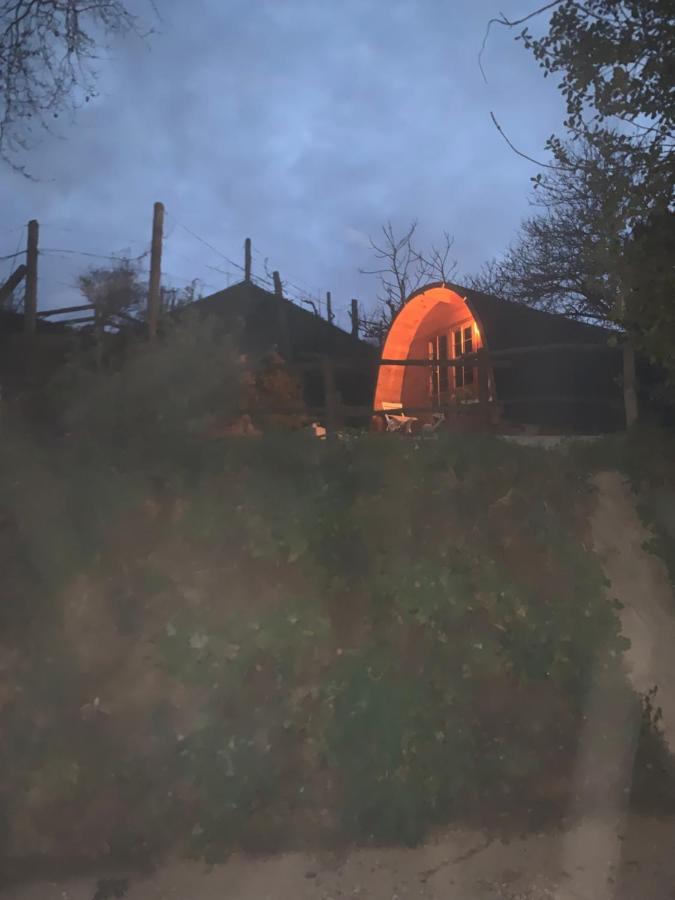Gallas Pod House Vouzela Exterior foto